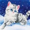 Diamond Dotz Kitten In The Snow 35x27cm. DiamondPainting