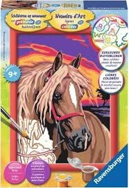 Schilderen Op Nummer: Droompaard